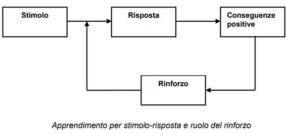 Schema rinforzo