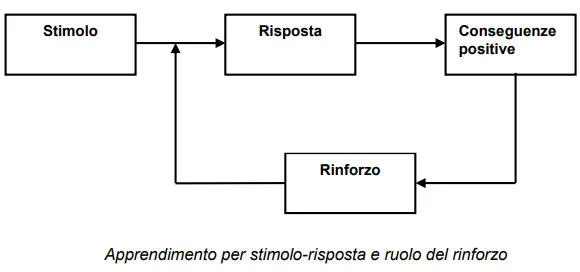 Schema rinforzo